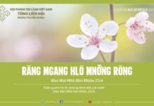 Răng Mgang Hlô Mnơ̆ng Rông – 18/1/2014