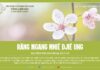 Răng Mgang Mniê Djiê Ung – 19/1/2024
