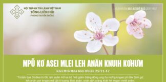Mpŭ Kơ Asei Mlei Leh Anăn Knuih Kơhưm – 20/1/2024