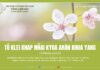 Tŭ Klei Knap Mñai Kyua Anăn Khua Yang – 8/1/2024