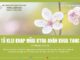 Tŭ Klei Knap Mñai Kyua Anăn Khua Yang – 8/1/2024