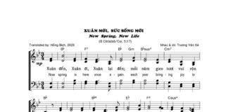Bài hát: XUÂN MỚI, SỨC SỐNG MỚI