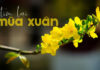 Thơ: TÌM LẠI MÙA XUÂN