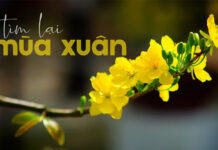 Thơ: TÌM LẠI MÙA XUÂN