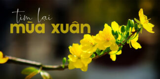 Thơ: TÌM LẠI MÙA XUÂN