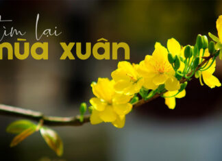 Thơ: TÌM LẠI MÙA XUÂN