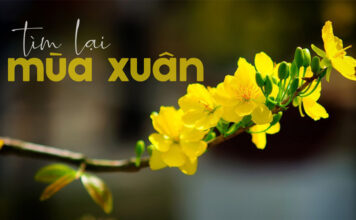 Thơ: TÌM LẠI MÙA XUÂN