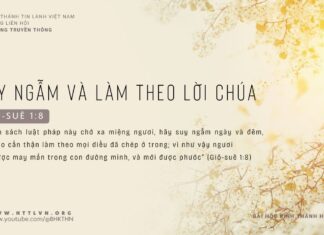 Suy Ngẫm Và Làm Theo Lời Chúa – 1/3/2024