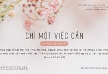 Chỉ Một Việc Cần – 11/2/2024