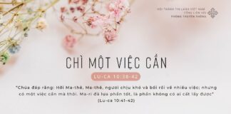 Chỉ Một Việc Cần – 11/2/2024