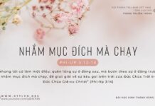 Nhắm Mục Đích Mà Chạy – 12/2/2024