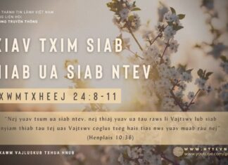 Txiav Txim Siab Thiab Ua Siab Ntev – 14/2/2024