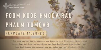 Foom Koob Hmoov Rau Phaum Tomqab – 17/2/2024