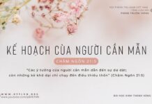 Kế Hoạch Của Người Cần Mẫn – 18/2/2024