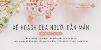 Kế Hoạch Của Người Cần Mẫn – 18/2/2024