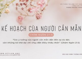 Kế Hoạch Của Người Cần Mẫn – 18/2/2024