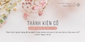 Thành Kiên Cố – 6/2/2024
