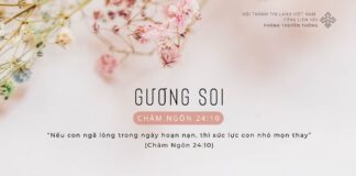 Gương Soi – 7/2/2024
