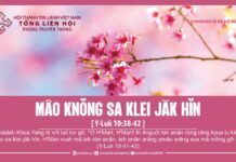 Mâo Knŏng Sa Klei Jăk Hĭn – 11/2/2024