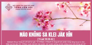 Mâo Knŏng Sa Klei Jăk Hĭn – 11/2/2024
