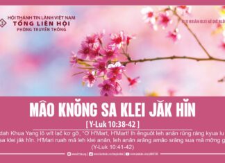 Mâo Knŏng Sa Klei Jăk Hĭn – 11/2/2024