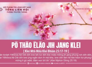 Pô Thâo Êlâo Jih Jang Klei – 20/2/2024
