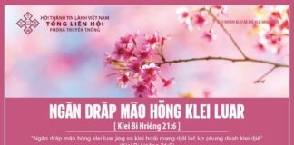 Ngăn Drăp Mâo Hŏng Klei Luar – 25/2/2024