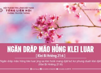 Ngăn Drăp Mâo Hŏng Klei Luar – 25/2/2024