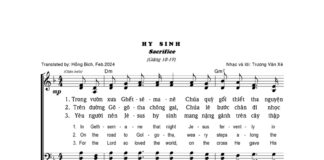 Bài hát suy niệm Chúa chịu thương khó: HY SINH