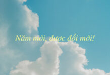 Thơ: NĂM MỚI, ĐƯỢC ĐỔI MỚI!