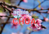 THỜI ĐIỂM CỦA CHÚA