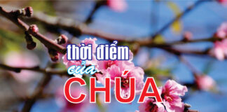 THỜI ĐIỂM CỦA CHÚA