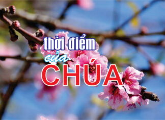 THỜI ĐIỂM CỦA CHÚA
