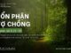 Bổn Phận Vợ Chồng – 1/4/2024