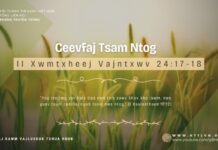 Ceevfaj Tsam Ntog – 12/3/2024
