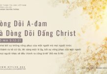 Dòng Dõi A-đam Và Dòng Dõi Đấng Christ – 19/3/2024
