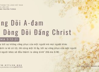 Dòng Dõi A-đam Và Dòng Dõi Đấng Christ – 19/3/2024