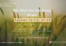 Kev Hlub Uas Zoo Kawg Nkaus – 27/3/2024