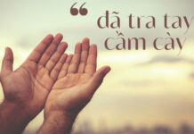 Thơ: ĐÃ TRA TAY CẦM CÀY