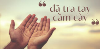 Thơ: ĐÃ TRA TAY CẦM CÀY