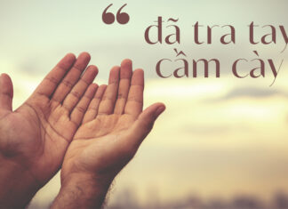 Thơ: ĐÃ TRA TAY CẦM CÀY