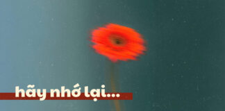 Thơ: HÃY NHỚ LẠI…