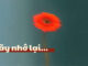 Thơ: HÃY NHỚ LẠI…