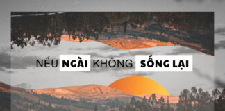 Thơ: NẾU NGÀI KHÔNG SỐNG LẠI