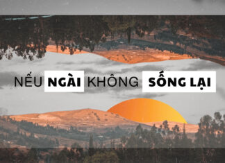 Thơ: NẾU NGÀI KHÔNG SỐNG LẠI