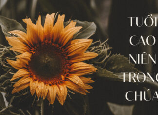 Thơ: TUỔI CAO NIÊN TRONG CHÚA