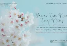 Yau-as Tsis Nco Txiaj Ntsig – 11/4/2024