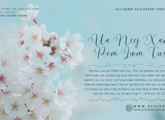 Ua Neej Xam Pom Lwm Tus – 12/4/2024