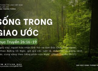 Sống Trong Giao Ước – 13/4/2024