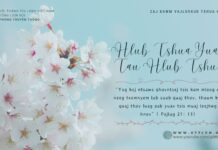 Hlub Tshua Yuav Tau Hlub Tshua – 14/4/2024